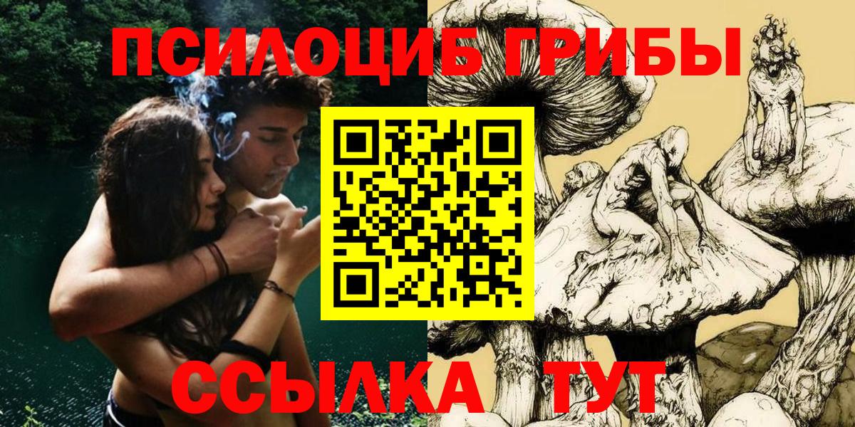 Сокол  Галлюциногенные грибы Psilocybe  Вход с VPN 